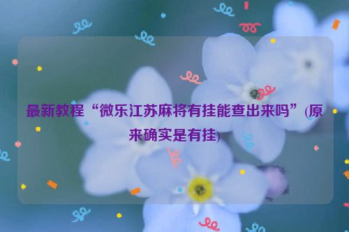 最新教程“微乐江苏麻将有挂能查出来吗”(原来确实是有挂)