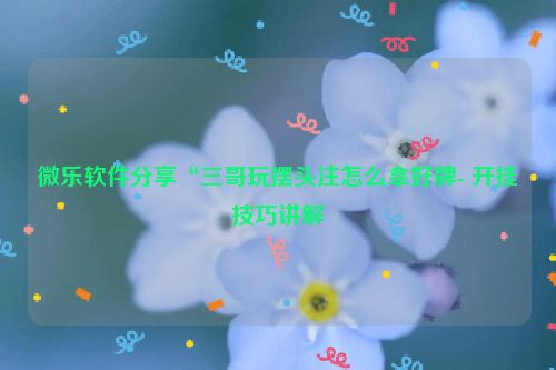 微乐软件分享“三哥玩摆头注怎么拿好牌- 开挂技巧讲解