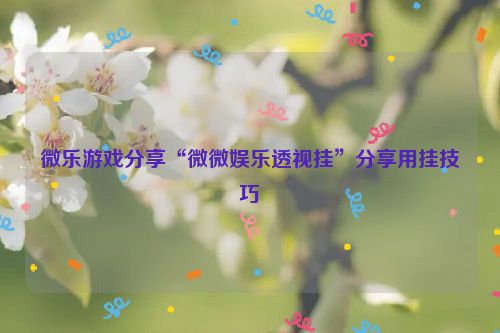微乐游戏分享“微微娱乐透视挂”分享用挂技巧