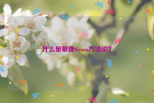 什么是敏捷Scrum方法论？
