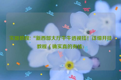 实操教程!“新西部大厅牛牛透视挂！详细开挂教程（确实真的有挂)