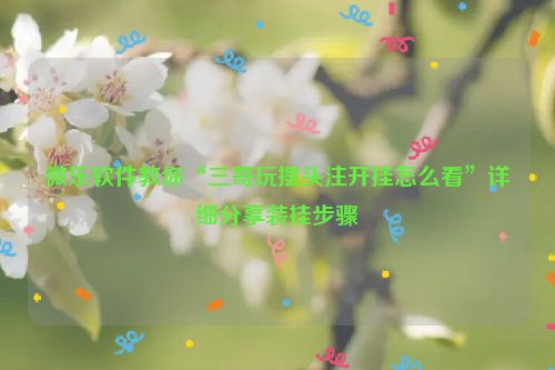 微乐软件教你“三哥玩摆头注开挂怎么看”详细分享装挂步骤