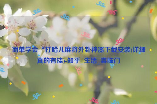 简单学会“打哈儿麻将外卦神器下载安装(详细真的有挂)-知乎_生活_喜临门