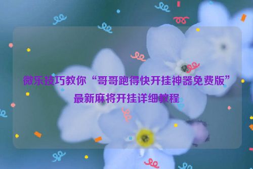 微乐技巧教你“哥哥跑得快开挂神器免费版”最新麻将开挂详细教程