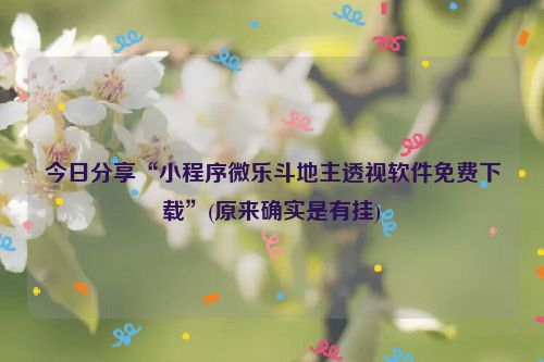今日分享“小程序微乐斗地主透视软件免费下载”(原来确实是有挂)
