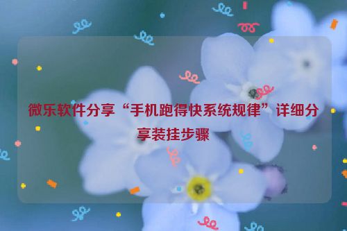微乐软件分享“手机跑得快系统规律”详细分享装挂步骤