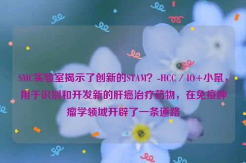 SMC实验室揭示了创新的STAM？-HCC／IO+小鼠，用于识别和开发新的肝癌治疗药物，在免疫肿瘤学领域开辟了一条道路