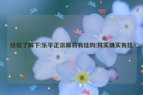 经验了解下!乐平正宗麻将有挂吗!其实确实有挂