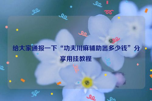 给大家通报一下“功夫川麻辅助器多少钱”分享用挂教程