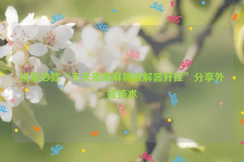 玩家必款“天天贵阳麻将破解器开挂”分享外挂技术