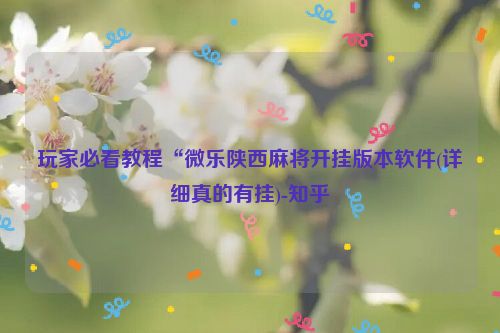 玩家必看教程“微乐陕西麻将开挂版本软件(详细真的有挂)-知乎