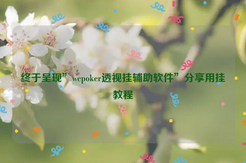 终于呈现”wepoker透视挂辅助软件”分享用挂教程