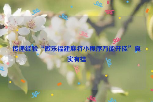 传递经验“微乐福建麻将小程序万能开挂”真实有挂
