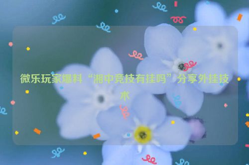 微乐玩家爆料“湘中竞技有挂吗”分享外挂技术