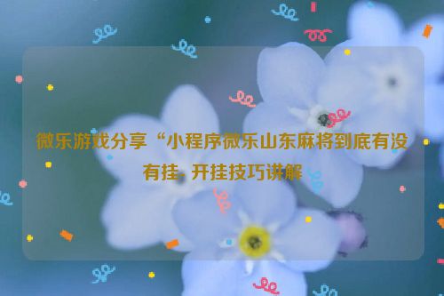 微乐游戏分享“小程序微乐山东麻将到底有没有挂- 开挂技巧讲解