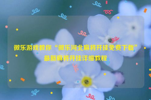 微乐游戏教你“微乐河北麻将开挂免费下载”最新麻将开挂详细教程
