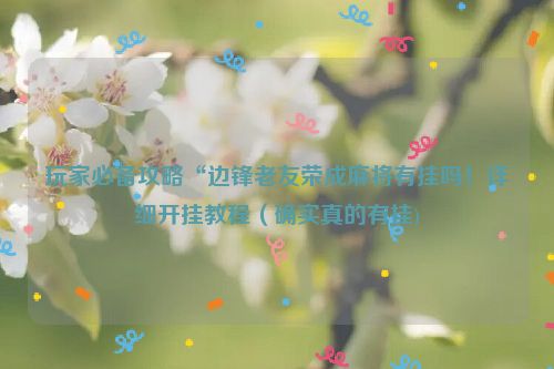 玩家必备攻略“边锋老友荣成麻将有挂吗！详细开挂教程（确实真的有挂)