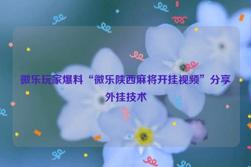微乐玩家爆料“微乐陕西麻将开挂视频”分享外挂技术