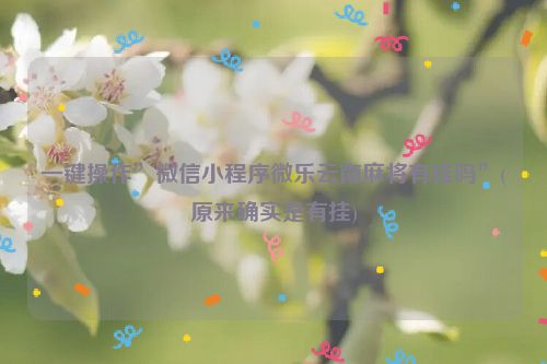 一键操作”微信小程序微乐云南麻将有挂吗”(原来确实是有挂)