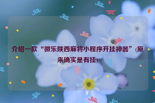 介绍一款“微乐陕西麻将小程序开挂神器”(原来确实是有挂)