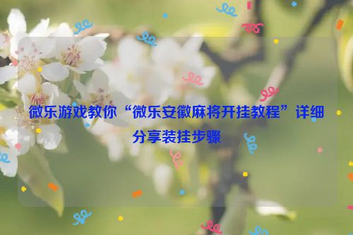 微乐游戏教你“微乐安徽麻将开挂教程”详细分享装挂步骤