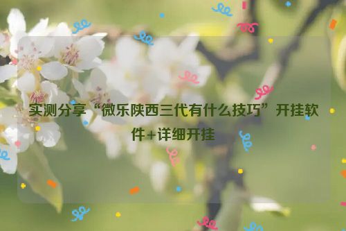 实测分享“微乐陕西三代有什么技巧”开挂软件+详细开挂