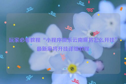 玩家必看教程“小程序微乐云南麻将怎么开挂”最新麻将开挂详细教程