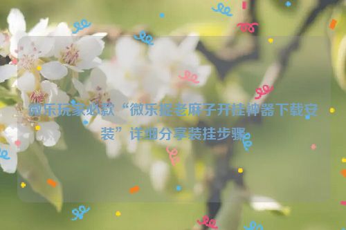 微乐玩家必款“微乐捉老麻子开挂神器下载安装”详细分享装挂步骤