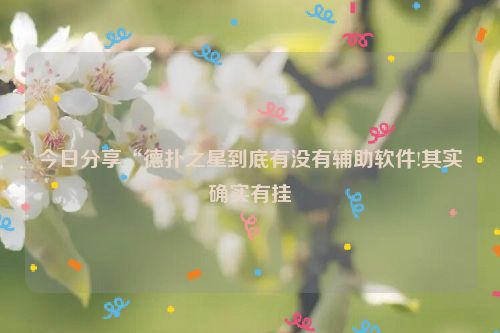 今日分享“德扑之星到底有没有辅助软件!其实确实有挂