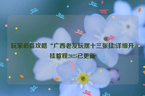 玩家必备攻略“广西老友玩摆十三张挂!详细开挂教程2025已更新
