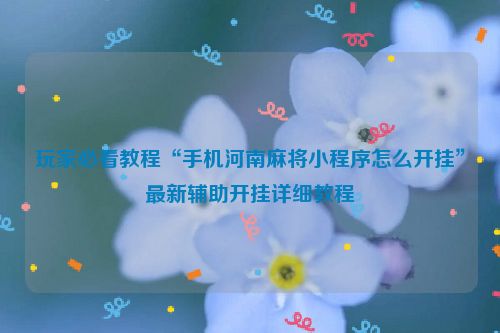 玩家必看教程“手机河南麻将小程序怎么开挂”最新辅助开挂详细教程