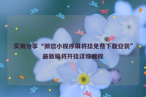 实测分享“微信小程序麻将挂免费下载安装”最新麻将开挂详细教程