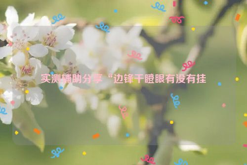 实测辅助分享“边锋干瞪眼有没有挂