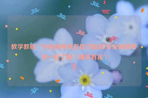 教学教程“小程序麻将怎样才能赢!专业师傅带你一起了解（确实有挂）