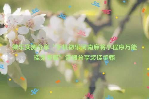 微乐实测分享“手机微乐河南麻将小程序万能挂免费版”详细分享装挂步骤