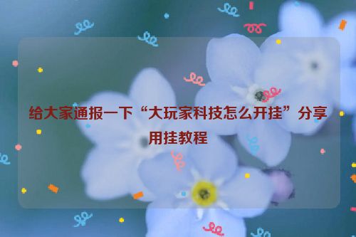 给大家通报一下“大玩家科技怎么开挂”分享用挂教程