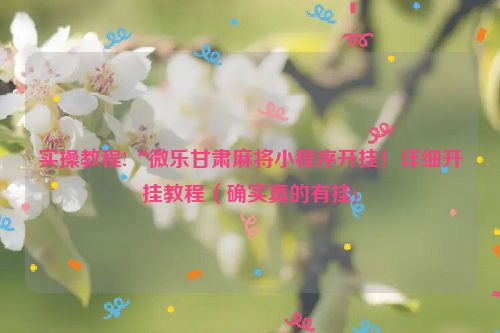 实操教程!“微乐甘肃麻将小程序开挂！详细开挂教程（确实真的有挂)