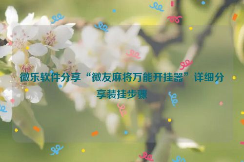 微乐软件分享“微友麻将万能开挂器”详细分享装挂步骤