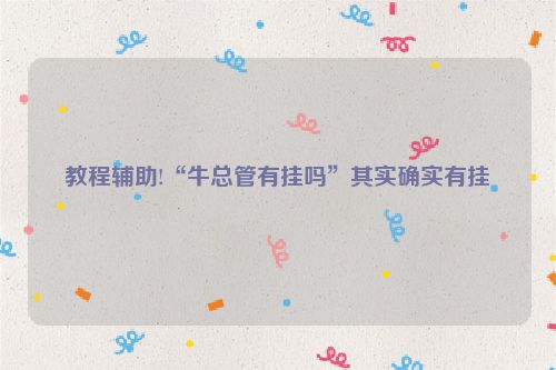 教程辅助!“牛总管有挂吗”其实确实有挂