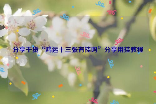 分享干货“鸿运十三张有挂吗”分享用挂教程