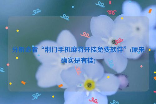 分析必看“荆门手机麻将开挂免费软件”(原来确实是有挂)