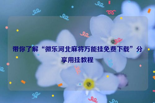 带你了解“微乐河北麻将万能挂免费下载”分享用挂教程