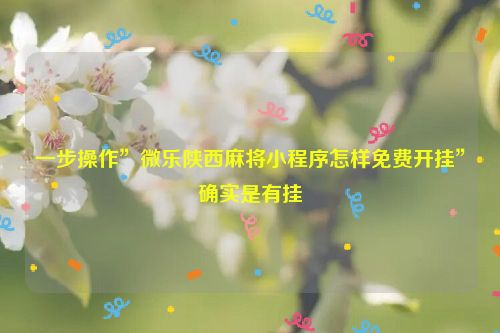 一步操作”微乐陕西麻将小程序怎样免费开挂”确实是有挂