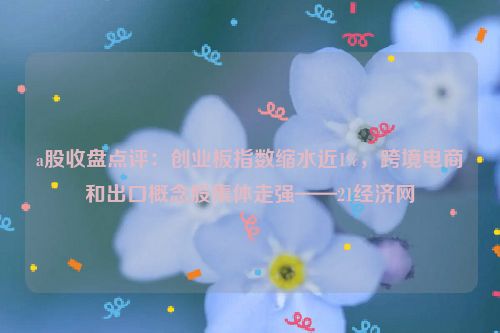 a股收盘点评：创业板指数缩水近1%，跨境电商和出口概念股集体走强——21经济网