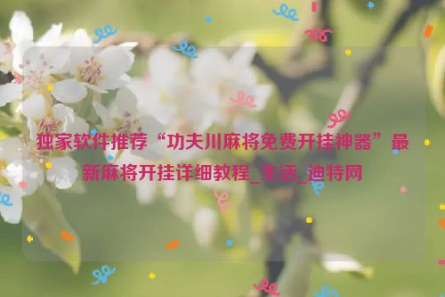 独家软件推荐“功夫川麻将免费开挂神器”最新麻将开挂详细教程_生活_迪特网