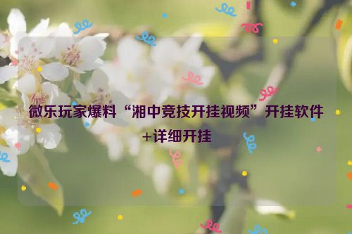 微乐玩家爆料“湘中竞技开挂视频”开挂软件+详细开挂
