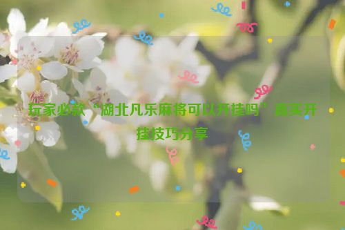 玩家必款“湖北凡乐麻将可以开挂吗”真实开挂技巧分享
