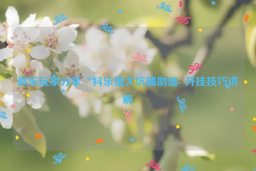 微乐玩家分享“科乐填大坑辅助器- 开挂技巧讲解