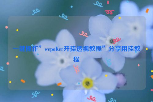 一键操作”wepoKer开挂透视教程”分享用挂教程