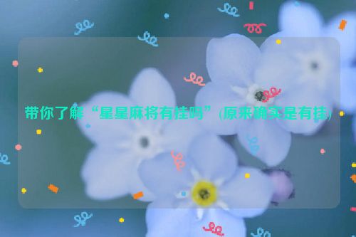 带你了解“星星麻将有挂吗”(原来确实是有挂)